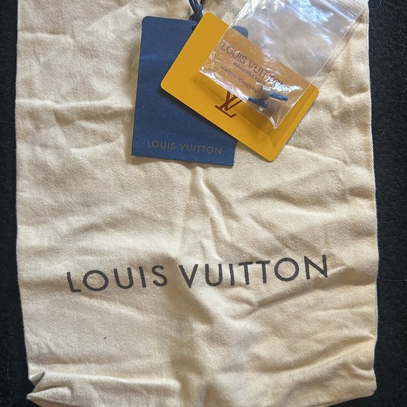 Authentic Louis Vuitton Shoe Bag and Replacements for Heels - Picture 3 of 3